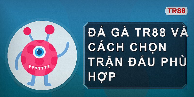 Đá gà Tr88 và cách chọn trận đấu phù hợp