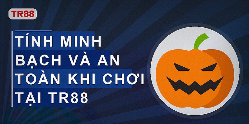 Tính minh bạch và an toàn khi chơi tại Tr88